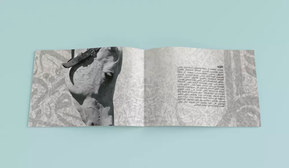 سأقوم بتصميم هوية بصرية متكاملة تعكس الفخامة والأصالة العربية للخيل، وتُبرز المهرجان بشكل احترافي يمكن استخدامه في جميع الوسائط المطبوعة والرقمية.