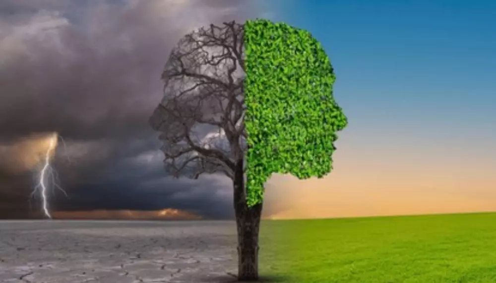 ✨ استشارة شخصية للتشافي   🌿 جرح الطفولة & توأم الشعلة   💫 فك التعلق 🦋 التحرر ✨