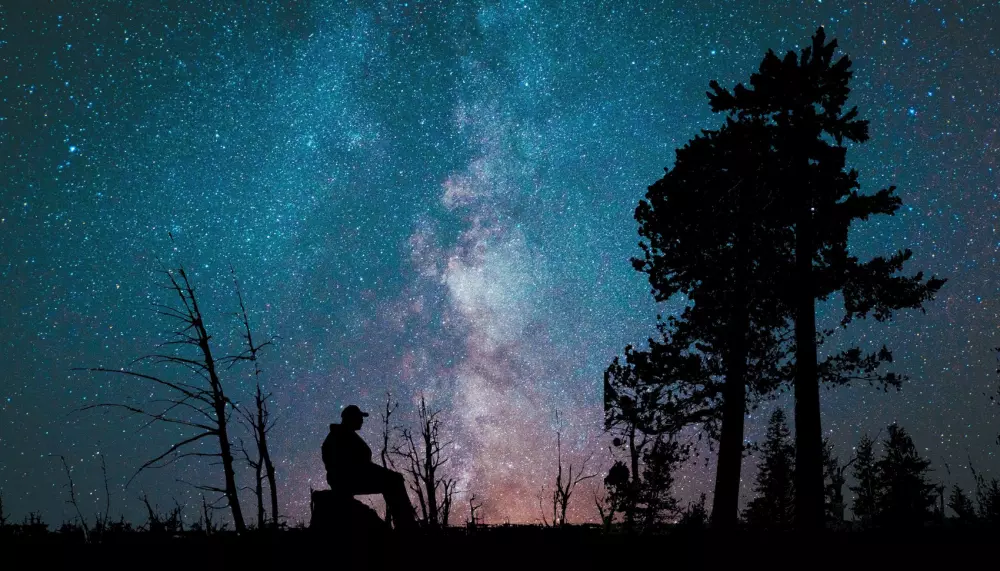 ✨ استشارة شخصية للتشافي   🌿 جرح الطفولة & توأم الشعلة   💫 فك التعلق 🦋 التحرر ✨