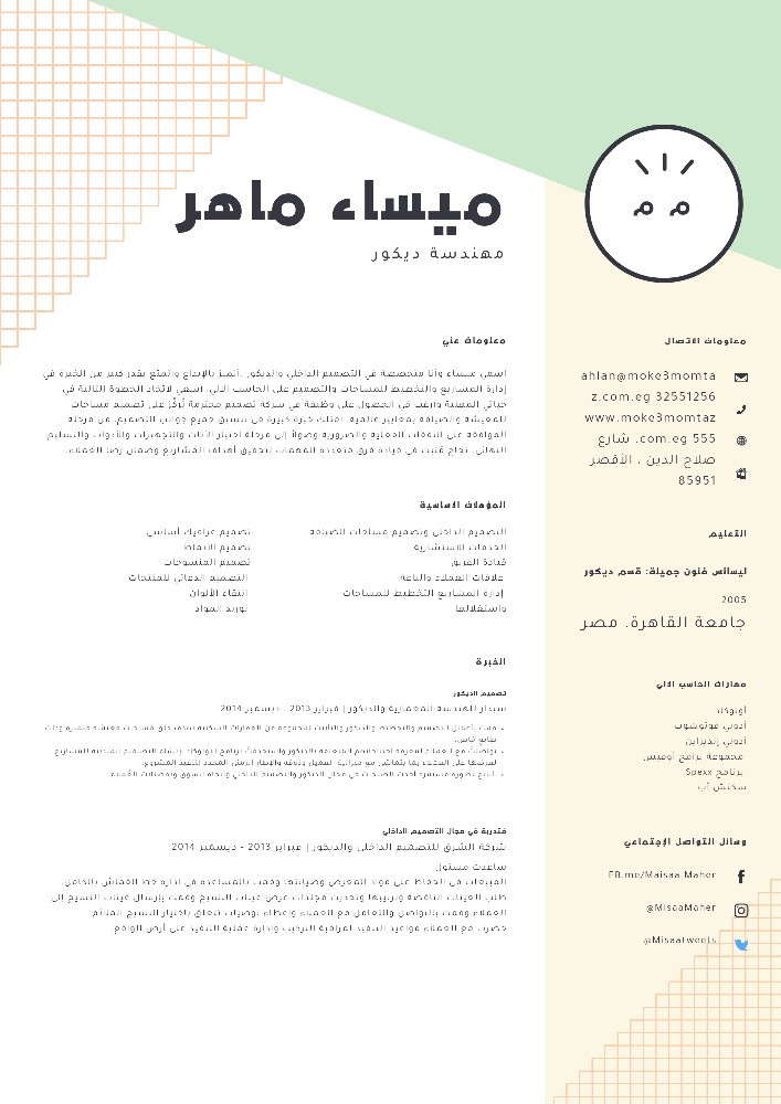 تصميم وكتابة سيره ذاتيه احترافيه