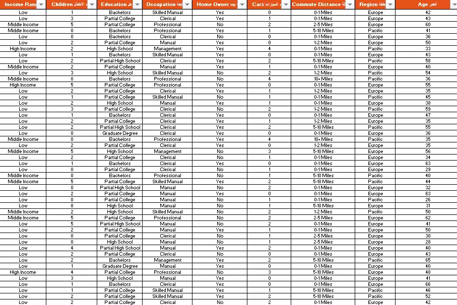 إدخال بيانات منسقة مع معادلات دقيقة على Excel