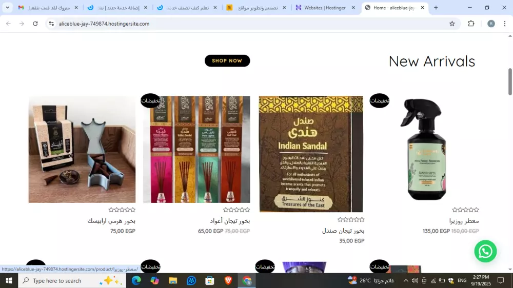 تصميم وتطوير مواقع ويب بلغات برمجه (frontend +backend)