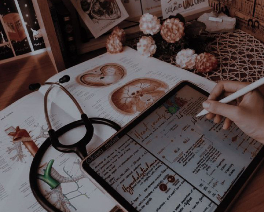 كتابة محتوى طبي احترافي ومقالات طبية وفق معايير SEO