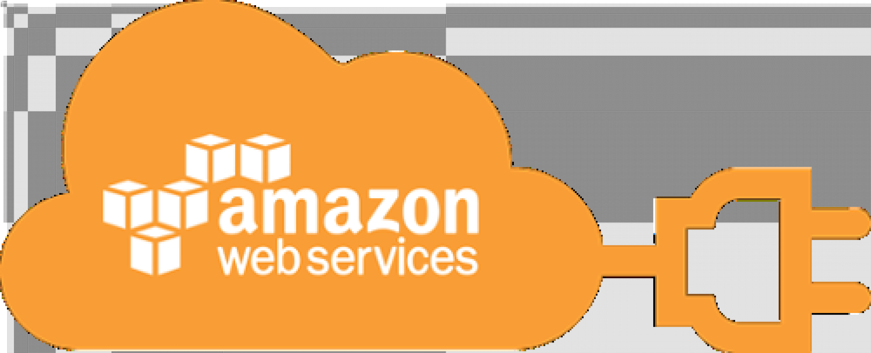AWS Consultation