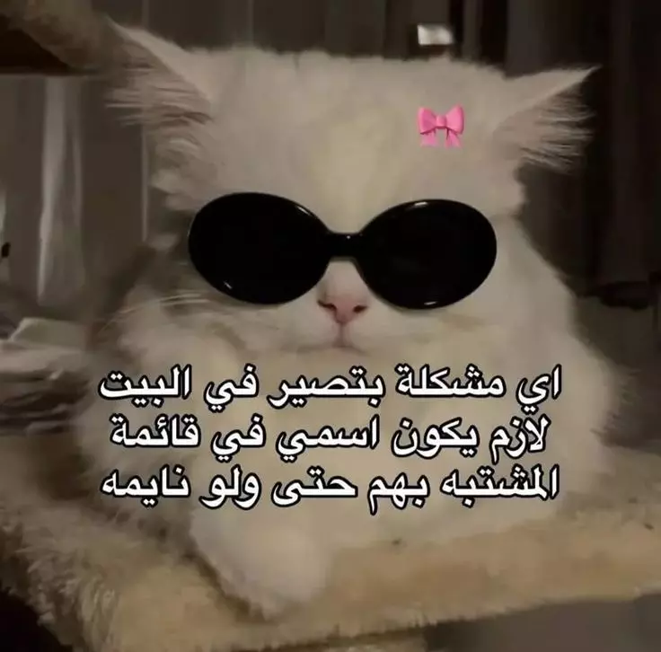 الترجمة من اللغة العربية للانجليزية او العكس حد الترجمة صفحتين