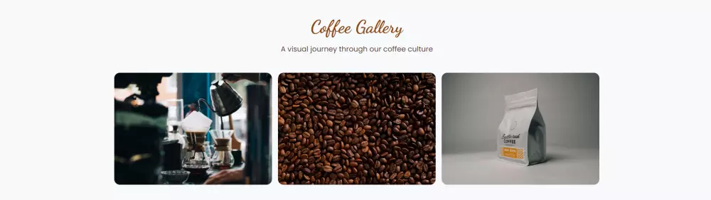 تصميم صفحة هبوط احترافية لمشروعك (Landing Page) 8 اقسام + لغتين