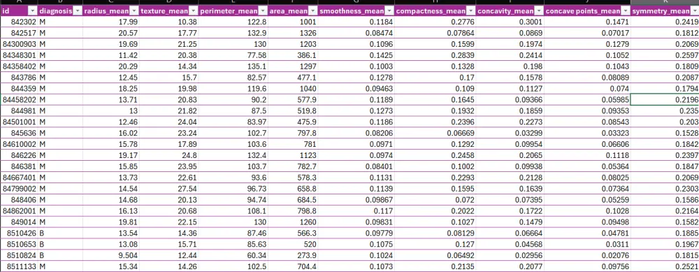 إدخال وتنظيم البيانات في Excel
