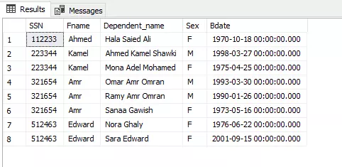 إنشاء Queries باستخدام SQL (تقارير + تحليل بيانات)