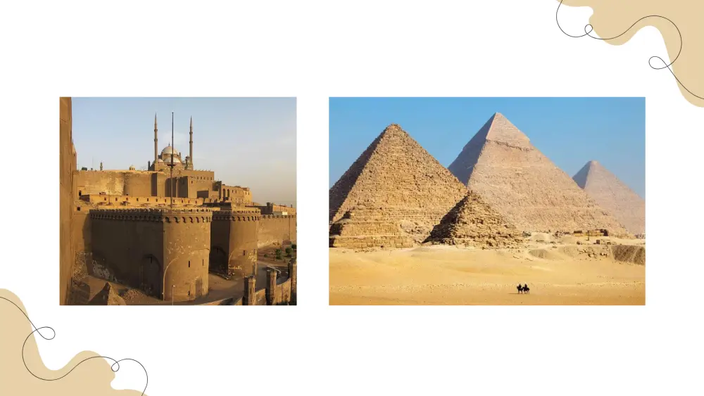 تصميم العروض التقديمية الاحترافية (PowerPoint / Canva)