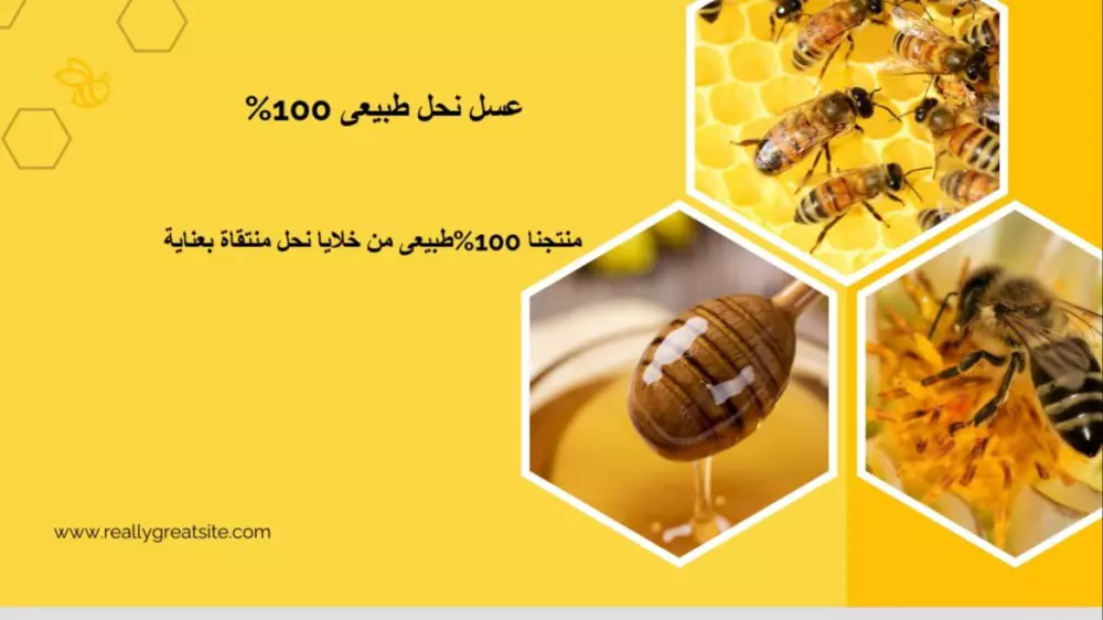 تصميم عرض بوربوينت احترافى ومنسق بدقة