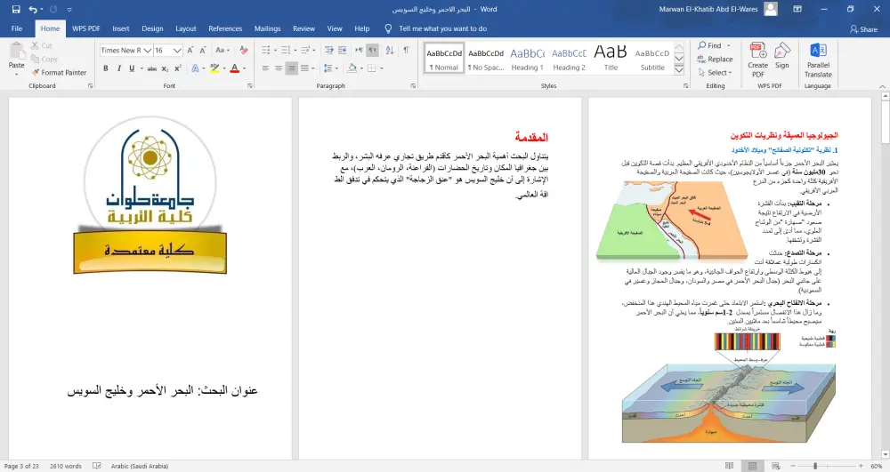 انشاء وتنسيق وتدقيق ملفات Word باحترافية متكاملة باللغتين العربية والانجليزية.