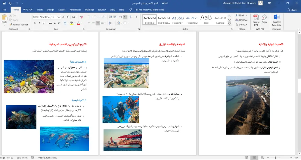 انشاء وتنسيق وتدقيق ملفات Word باحترافية متكاملة باللغتين العربية والانجليزية.