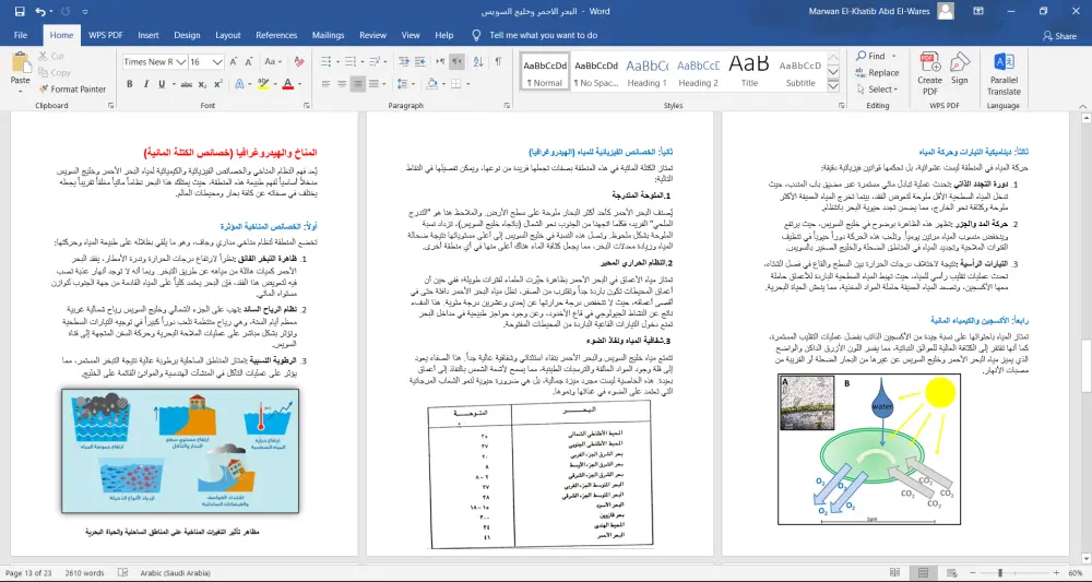 انشاء وتنسيق وتدقيق ملفات Word باحترافية متكاملة باللغتين العربية والانجليزية.