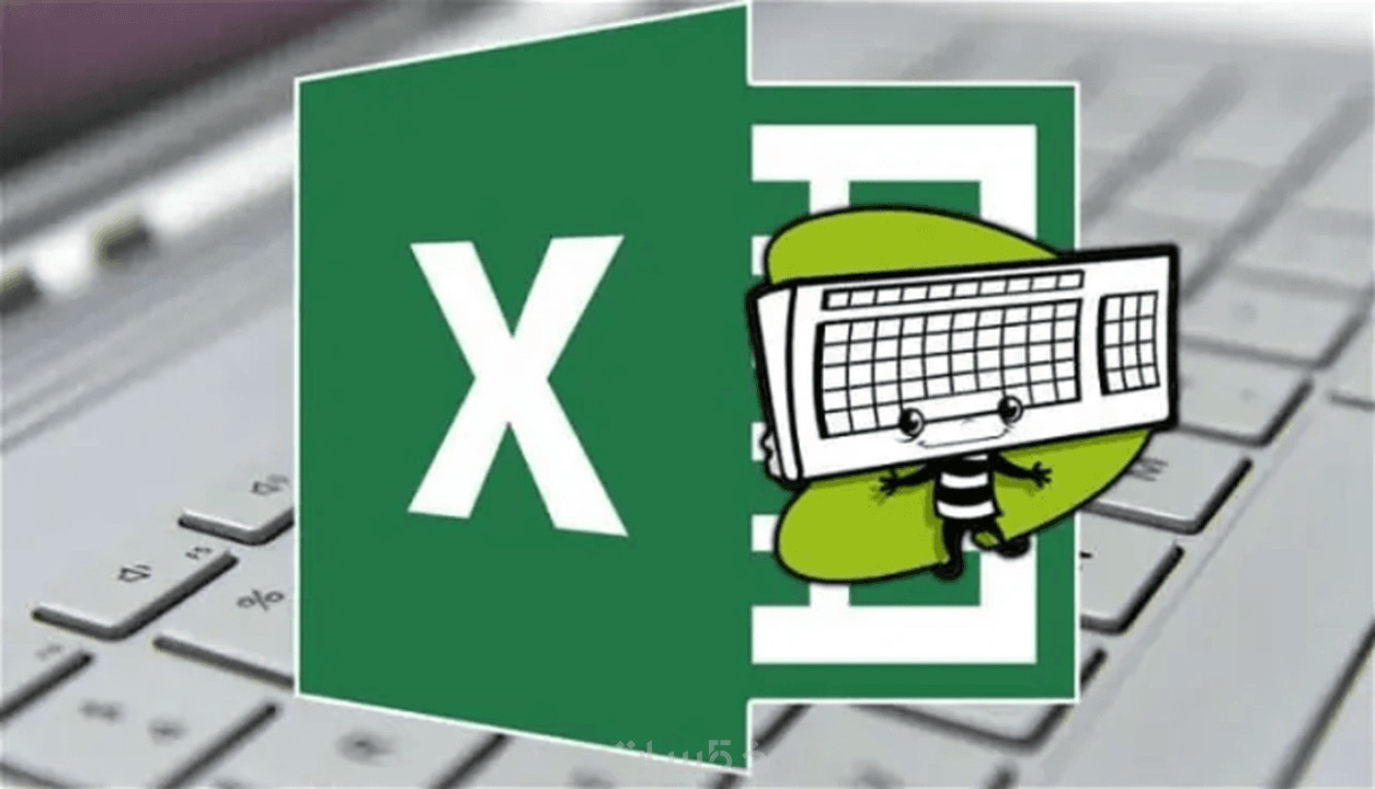 إدخال بيانات إلى برنامج اكسل كل 600 خانة