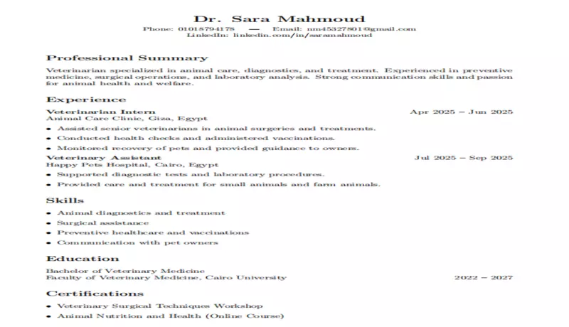 كتابة وتصميم سيرة ذاتية احترافية تزيد فرصك في القبول