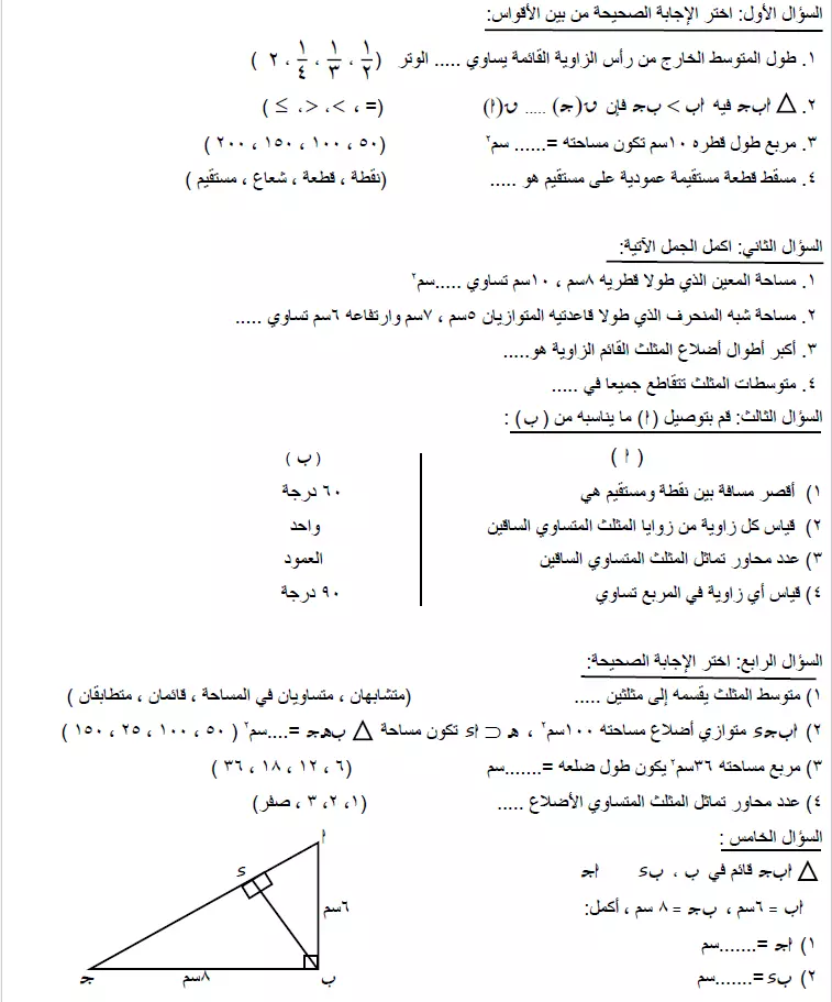 إدخال بيانات بدقة عالية مع مراعاة الأرقام والحروف(عربية أوE)