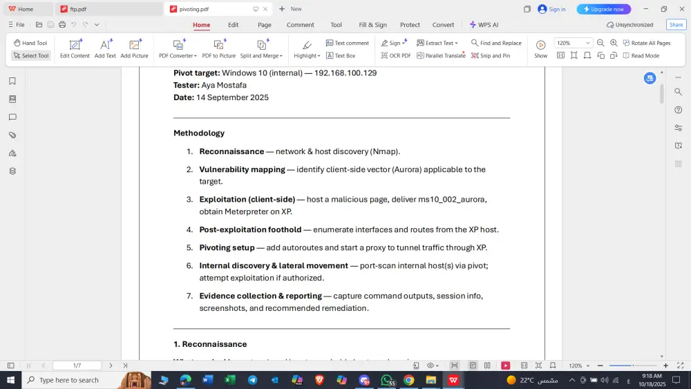 تدقيق أمني سريع للمواقع كشف الثغرات السريعة مع تقرير مصور