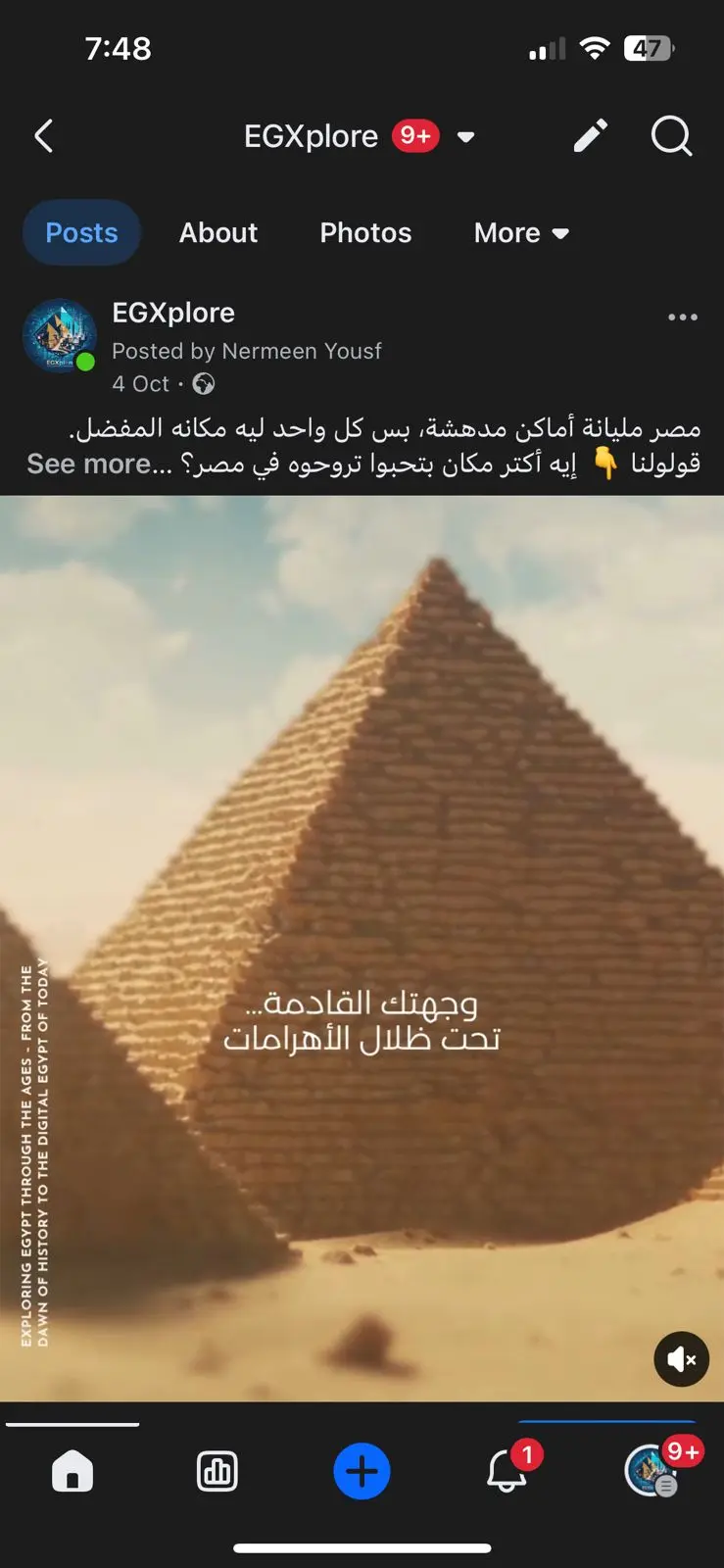 ادارة حسابات سوشيال ميديا