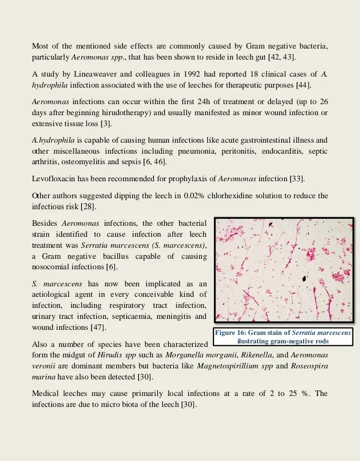 أبحاث ومقالات علمية دقيقة بأسلوب بسيط ومحتوى موثوق