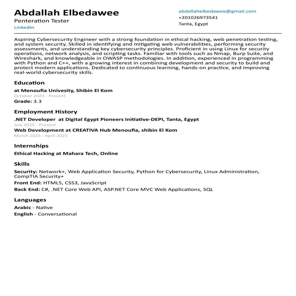 كتابة سيرة ذاتية احترافية Professional CV توافق نظام ATS