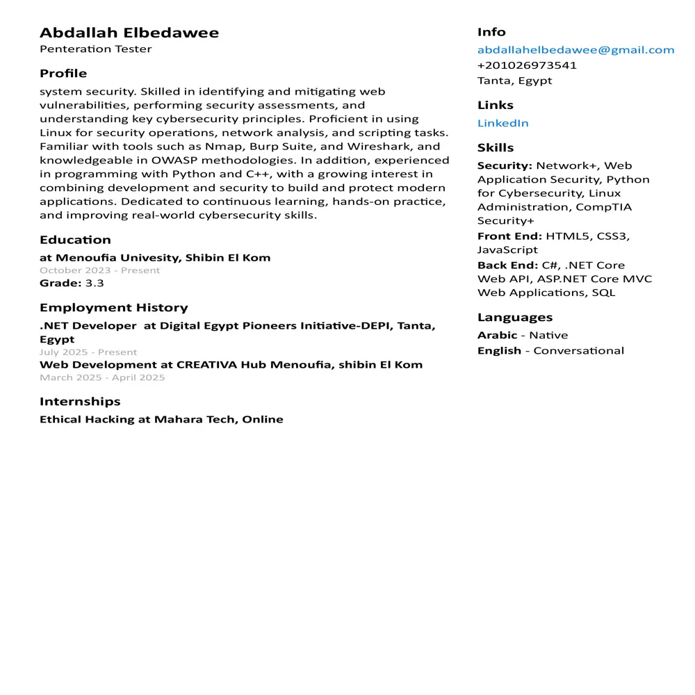 كتابة سيرة ذاتية احترافية Professional CV توافق نظام ATS