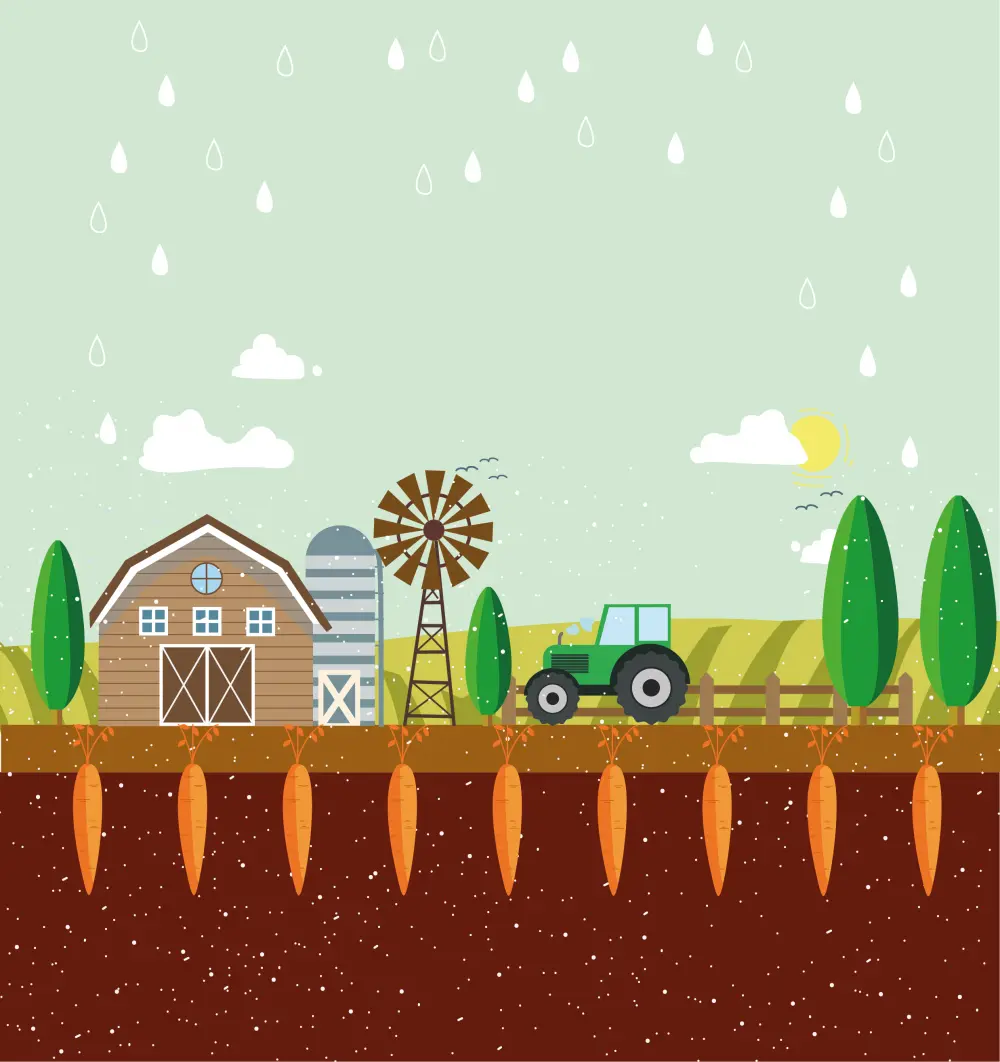 تصميم رسومات رقمية Vector Art