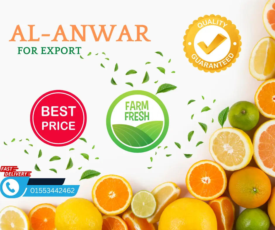 5 تصاميم سوشيال ميديا احترافية (تسليم خلال يومين).