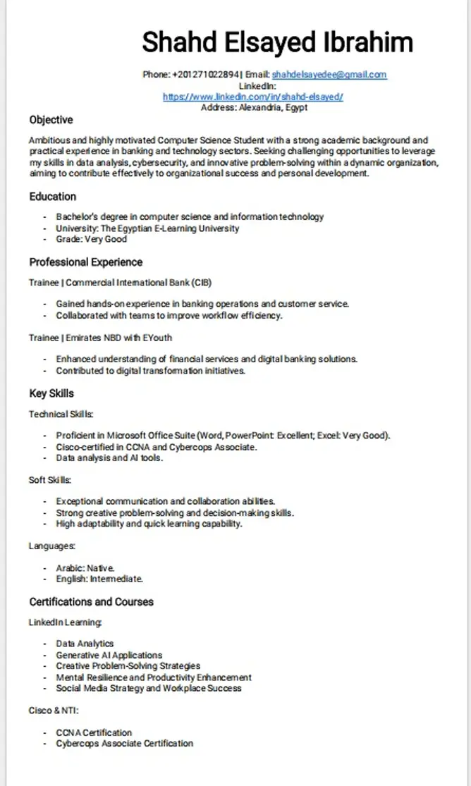 تصميم سيرة ذاتية إبداعية cv