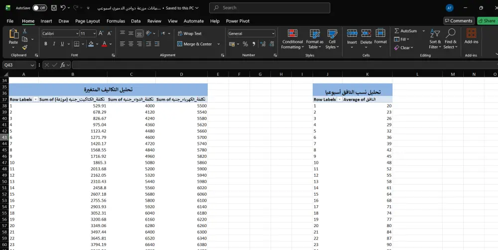 إدخال وتنظيم البيانات على إكسيل بدقة عالية وتنسيق احترافي