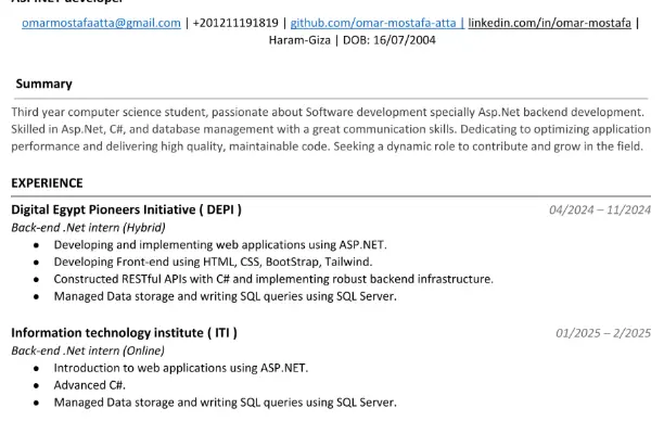 كتابة سيرة ذاتية احترافية Professional CV تتوافق مع نظام ATS