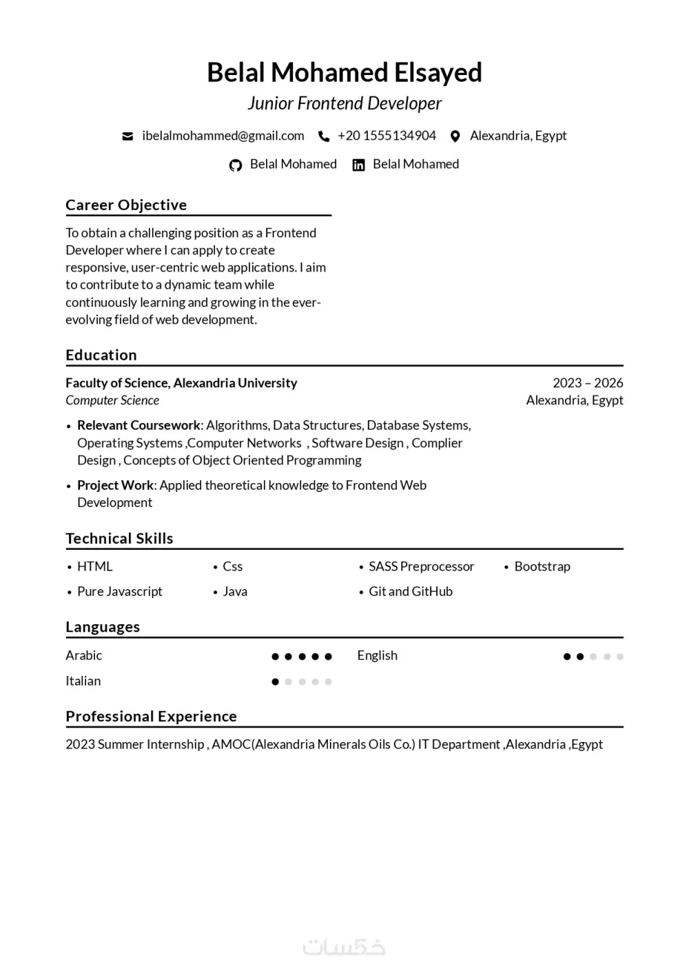 انشاء سيرة ذاتية (CV) احترافي عربي و انجليزي