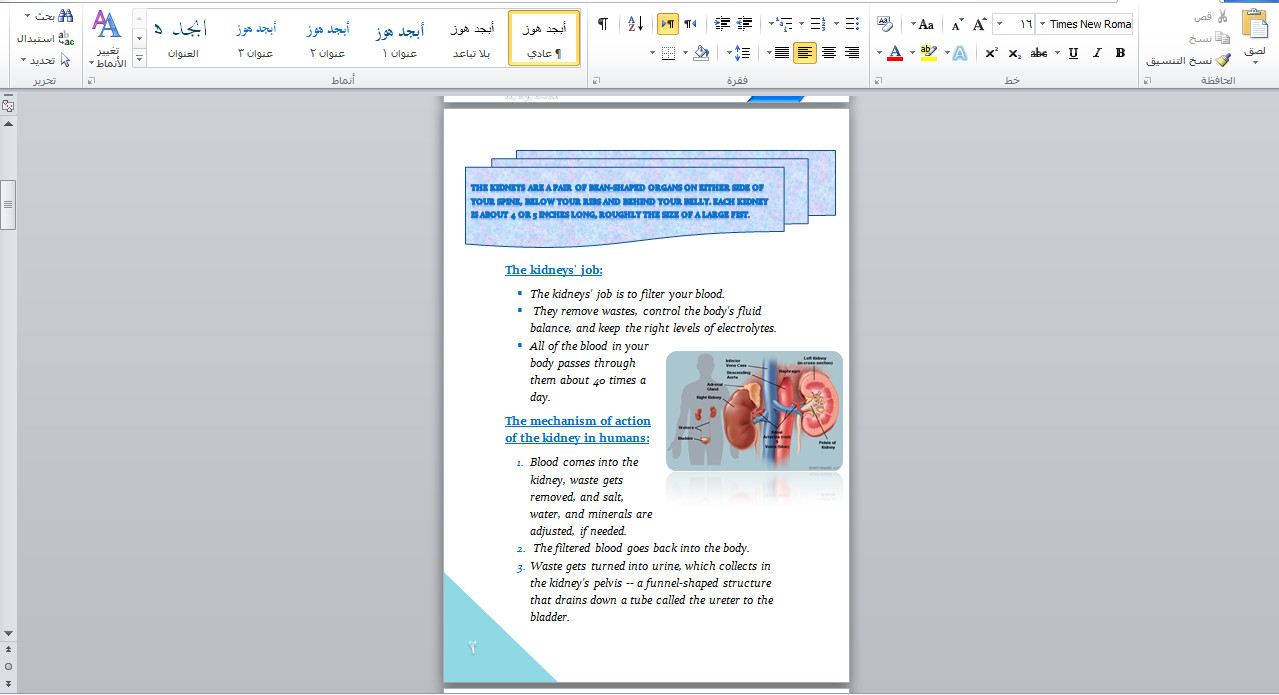 ترجمة "مقالات -نصوص - روايات -أبحاث..." من العربية إلى الإنجليزية وبالعكس.