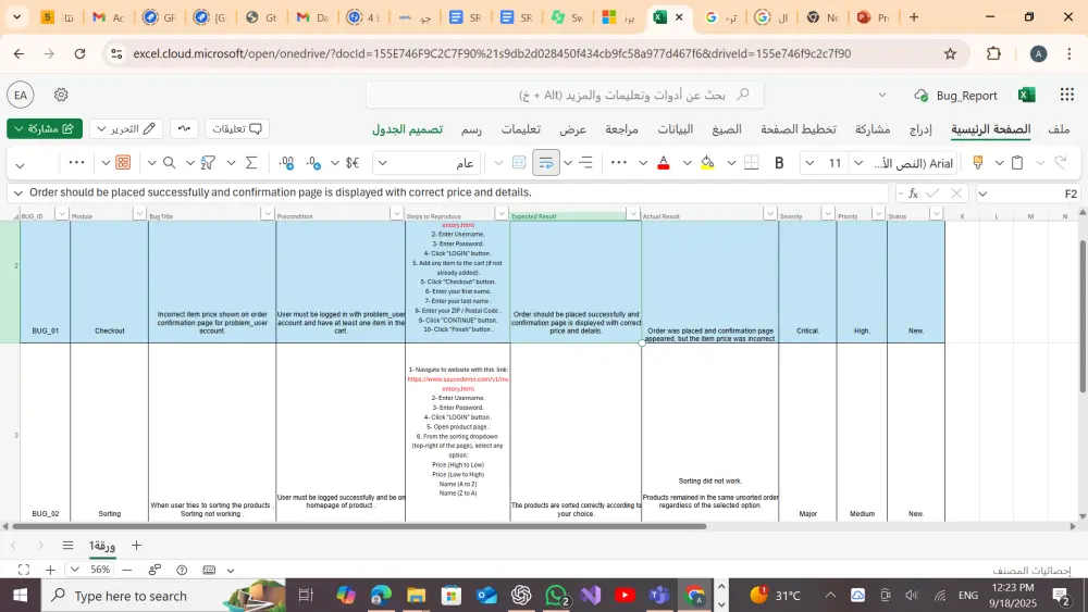 أختبار المواقع التطبيقات من المشاكل Software Tester
