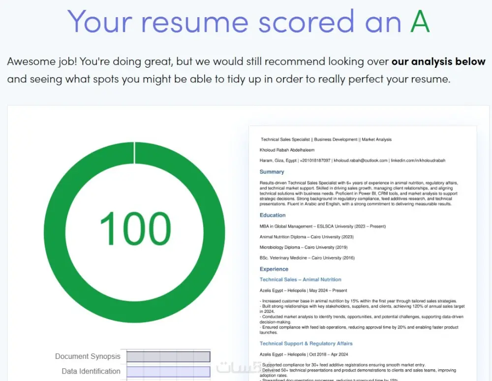 إنشاء سيرة ذاتية احترافية متوافقة مع نظام ATS لتجاوز فلاتر
