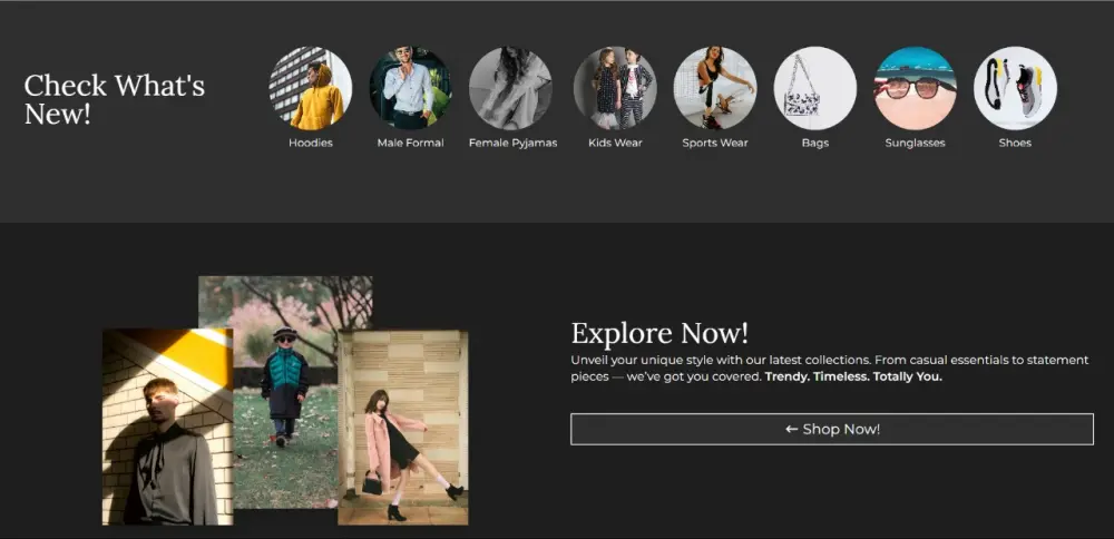 تصميم وتطوير مواقع ويب Frontend Developer