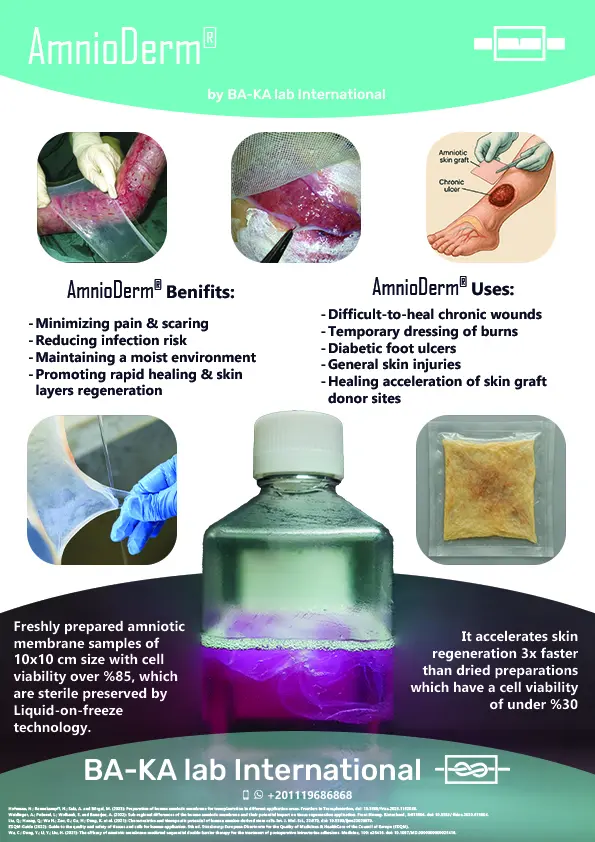 تصميم بروشور لمنتج