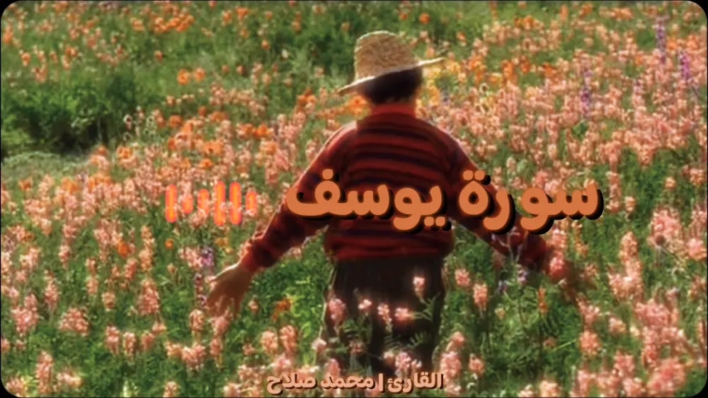 🔊 خدمة مونتاج فيديوهات التلاوات القرآنية بـ مؤثرات الموجات الصوتية المرئية (Visualizer)