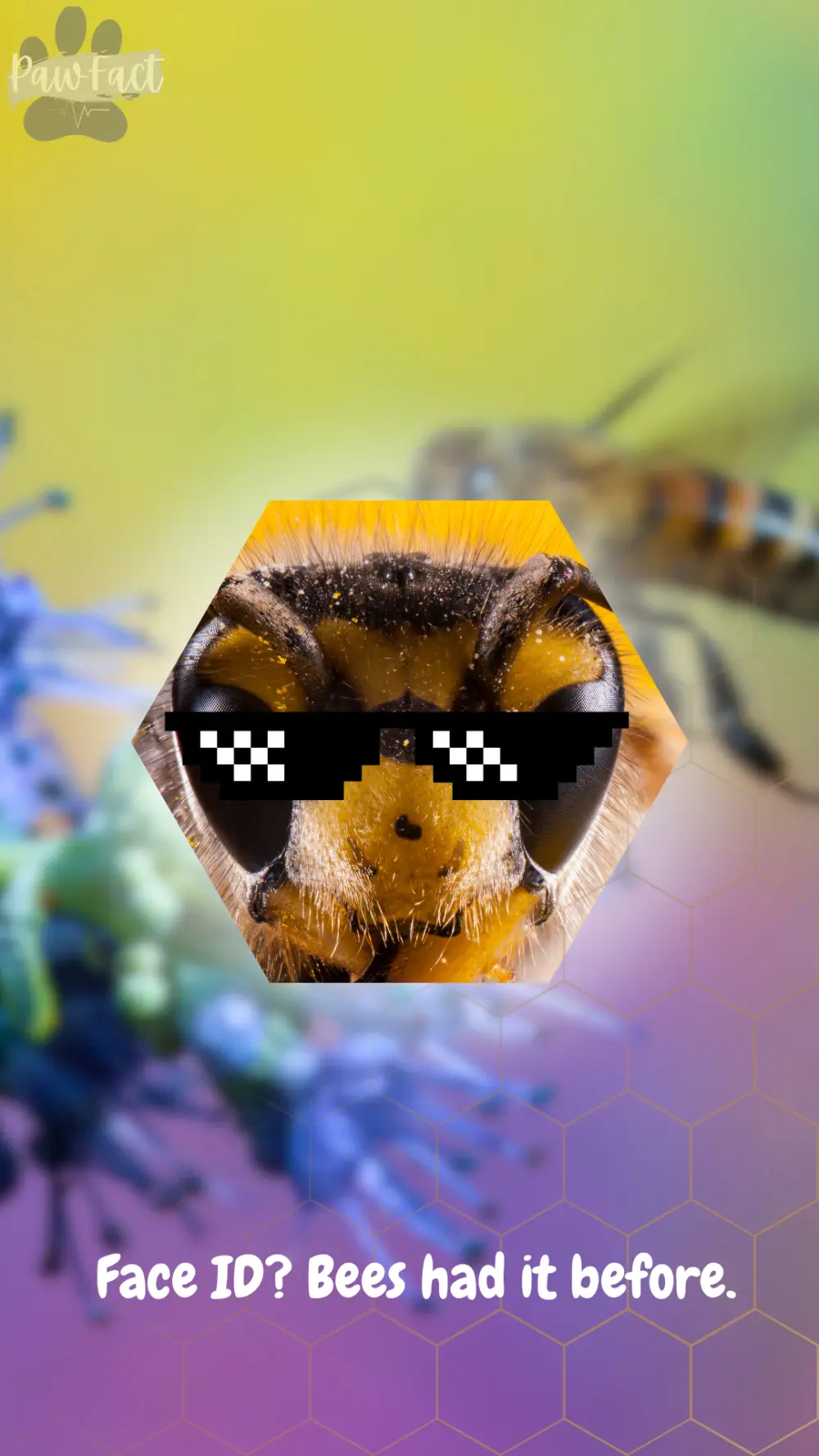 تصميم منشورات سوشيال ميديا