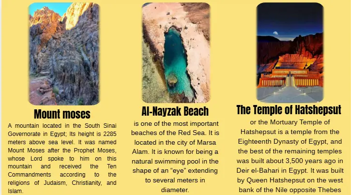 تصميم عرض تقديمي احترافي على PowerPoint أو Canva