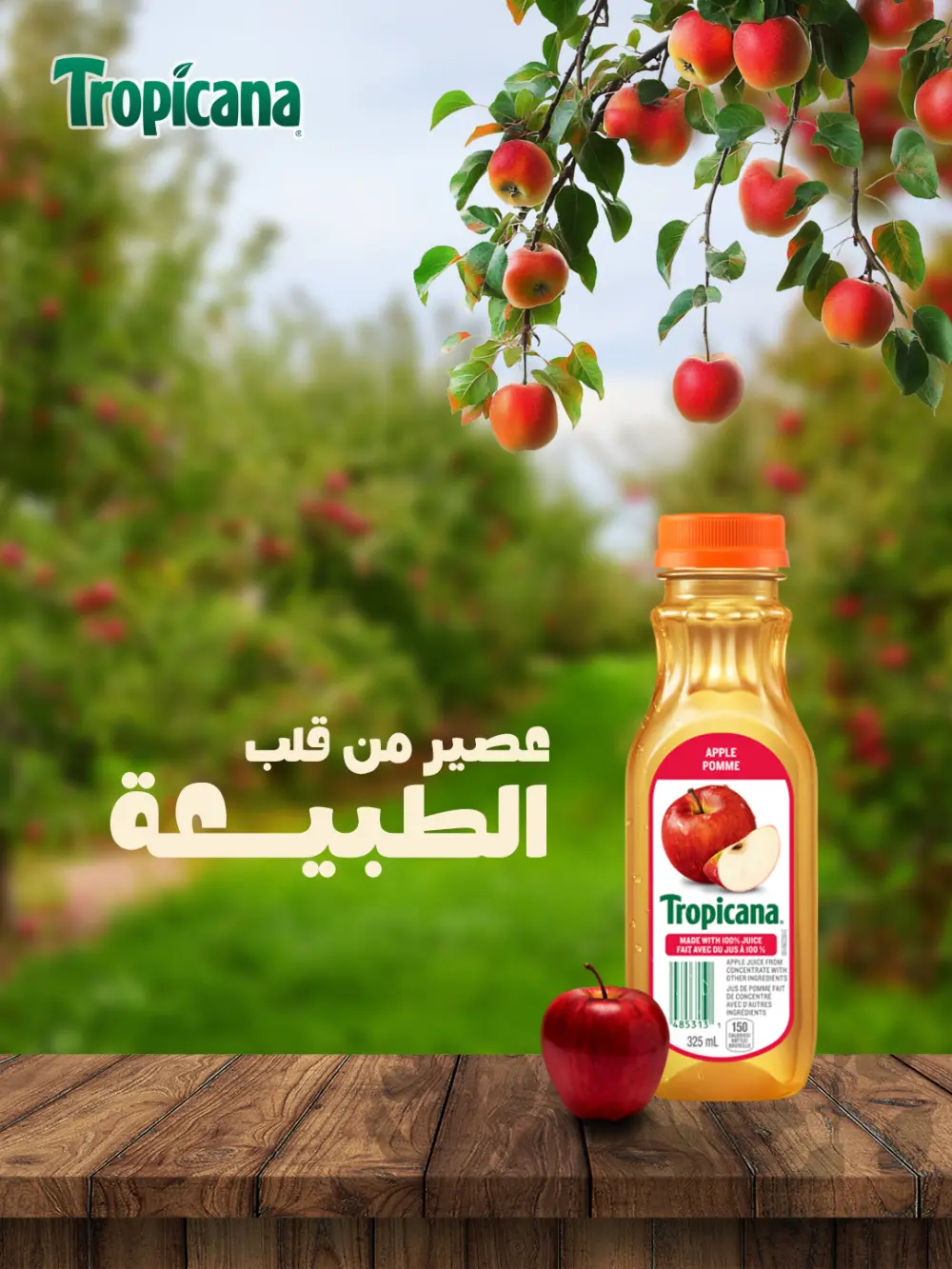 تصميمات سوشيال ميديا