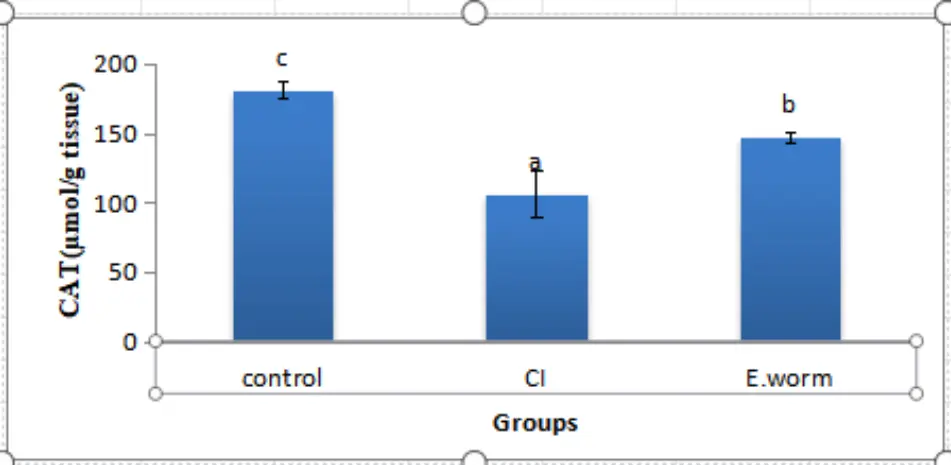 تحاليل إحصائيه