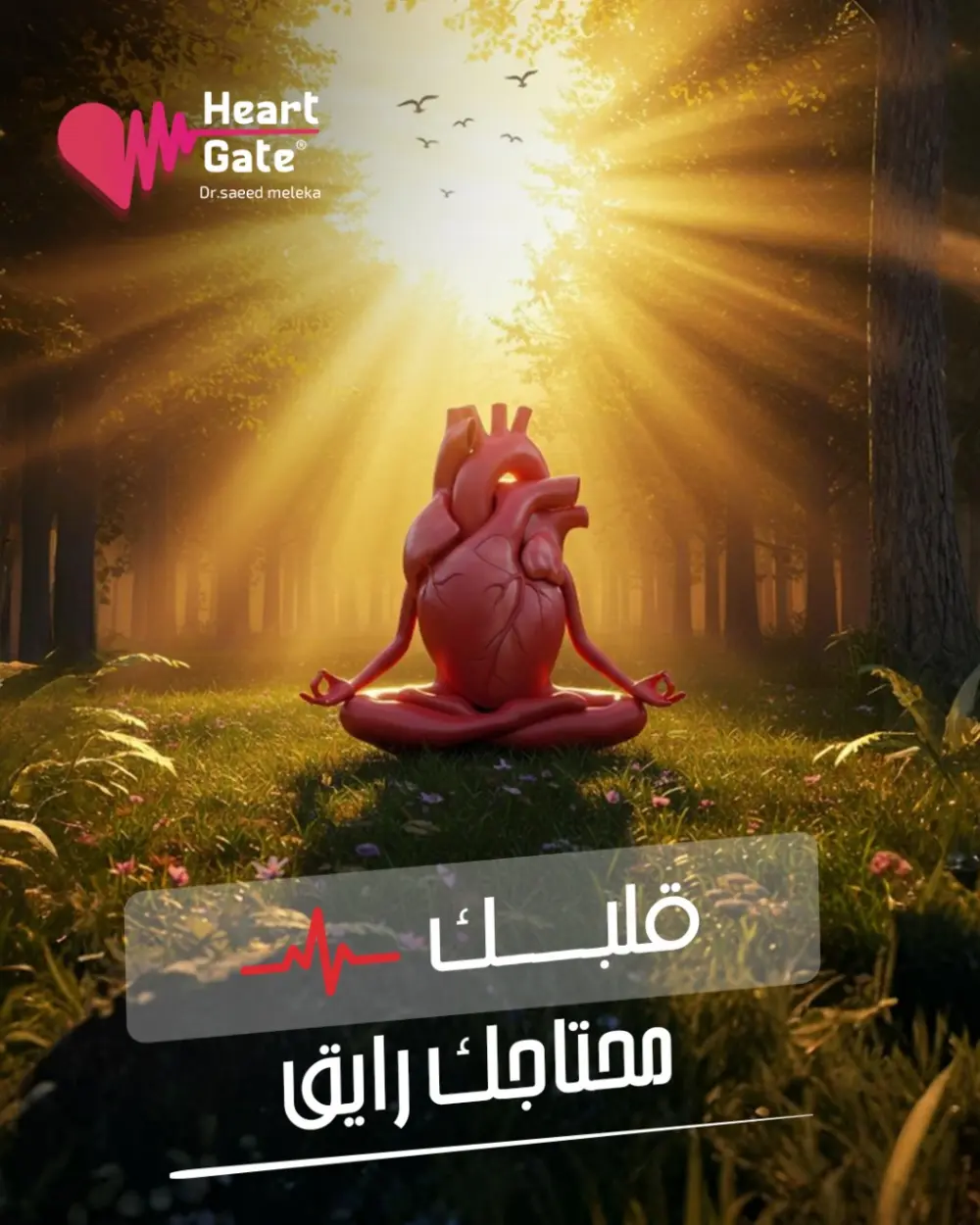 عمل خطة محتوي مكونة من 6 تصميمات مع وصف لهم