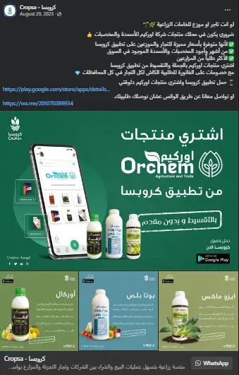 إدارة صفحات السوشيال ميديا باحتراف وكتابة المحتوى