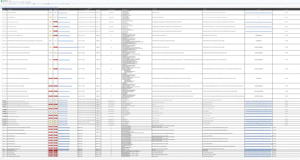 Manual Software Testing