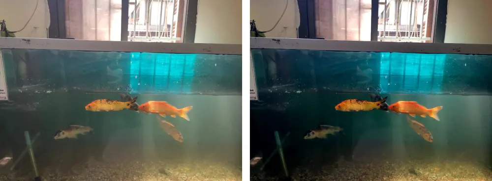 تعديل الصور بشكل احترافي