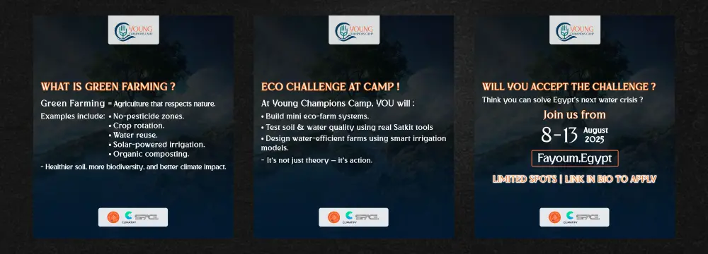 تصميم بوستات سوشيال ميديا احترافية