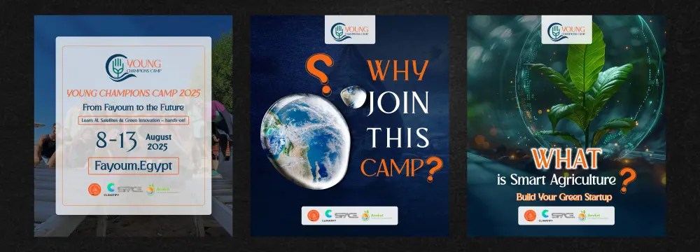 تصميم بوستات سوشيال ميديا احترافية