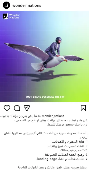 كتابة المحتوى (copy, content, video script)