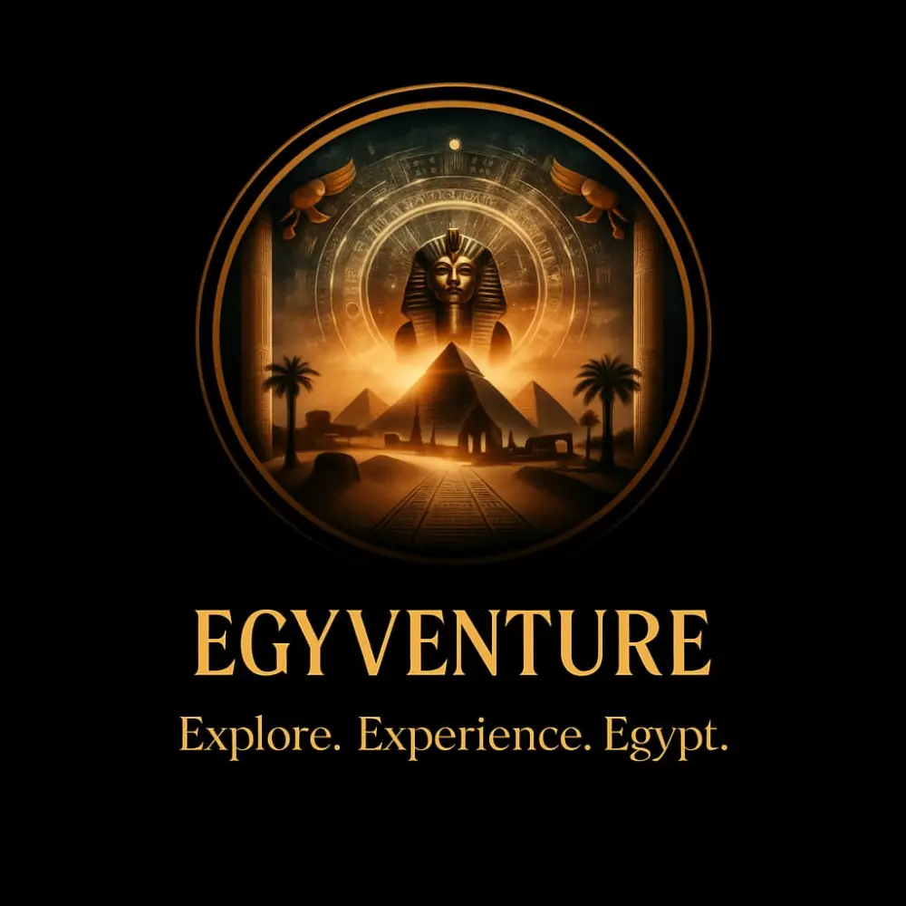 تصميم لوجو احترافى