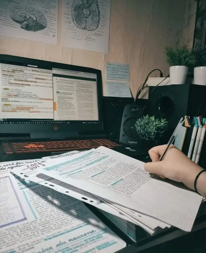 عمل بحث علمي لطلاب الجامعات  باللغتين العربية و الانجليزية